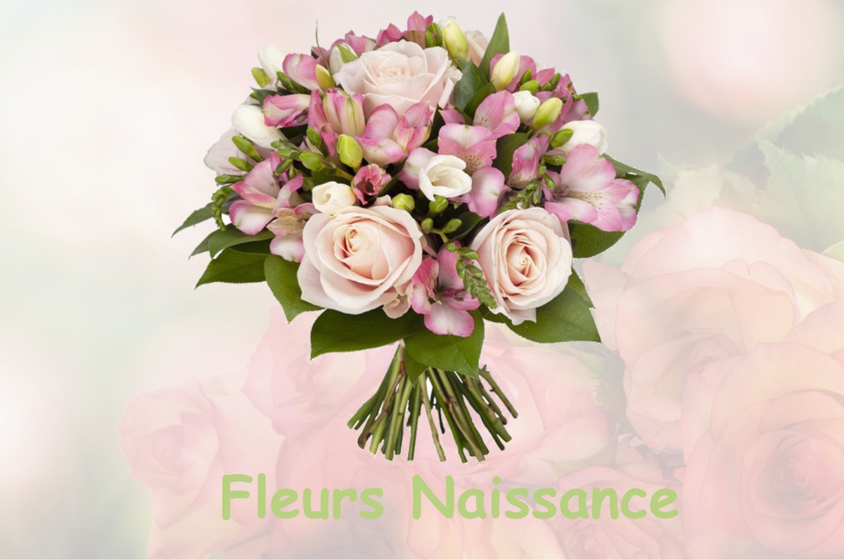 fleurs naissance EPIEDS-EN-BEAUCE